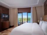 Premier Junior Suite with lake view