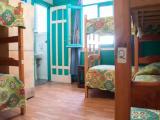 Bed in Dorm
