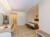 Standard Double room with balcony and with mountain view