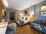 Deluxe room with garden view