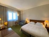 Standard Double room with Volga river view