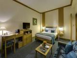 Executive room with view