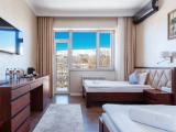 Standard Double room with balcony and with view