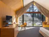 Standard Double room with balcony and with view