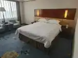 Standard Triple Family room