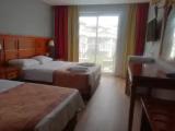 Standard room with balcony and with pool view