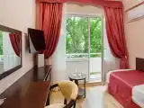 Standard Single room with balcony and with mountain view
