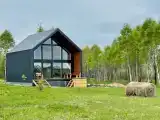 Deluxe Shalfey with terrace Quadruple Cottage