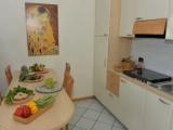 Double Family Apartment