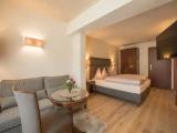 1 Bedroom Deluxe Double room with balcony and with mountain view