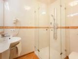 Standard Double room with balcony and with mountain view