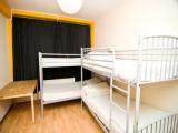 Bed in Dorm
