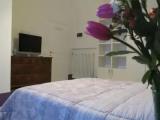 Standard Double room with garden view