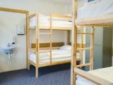 Bed in Dorm