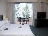 Deluxe room with balcony