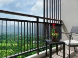 Superior Double room with mountain view