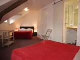 1 Bedroom Standard Quadruple Family room