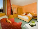 Standard Double room with mountain view