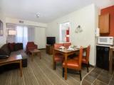 1 Bedroom Suite