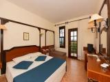 Standard Double room with balcony and with mountain view
