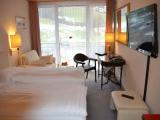 Standard Double room with mountain view