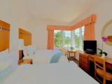 Standard Quadruple room beachfront