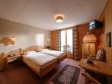 Standard Double room with mountain view