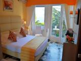 Standard Double room with garden view