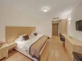 Standard Double room with balcony and with city view