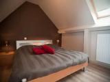 Comfort Quadruple Suite