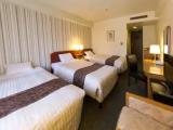 1 Bedroom Standard Triple room