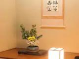 Standard room with city view