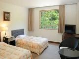 Standard room with mountain view
