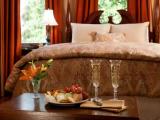 Premium Double room with balcony and with garden view