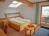 Standard Double room with balcony and with mountain view