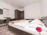 Comfort Double room with mountain view