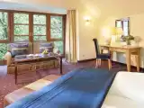 Single Junior Suite