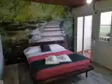 Standard Double room with pool view