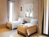 Standard room with mountain view