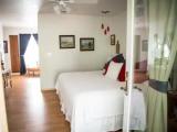 1 Bedroom Standard Double room with garden view