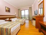 Standard Triple room with garden view