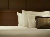 Single Suite
