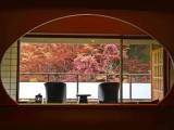 Deluxe room with mountain view
