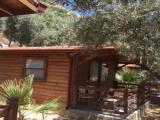 Bungalow with garden view