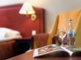 Comfort Double room with park view