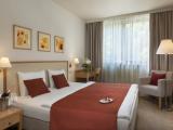 Basic Single room