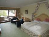 Superior Double room with mountain view