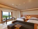 Standard Double room with view