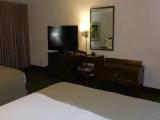 Single Suite