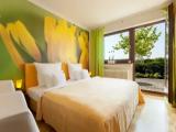 Standard Double room with lake view